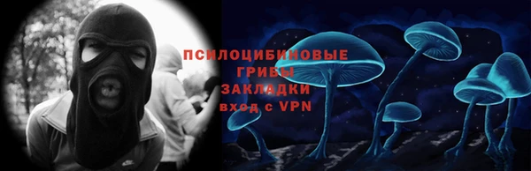 СК Новосибирск