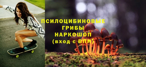 мяу мяу мука Майский