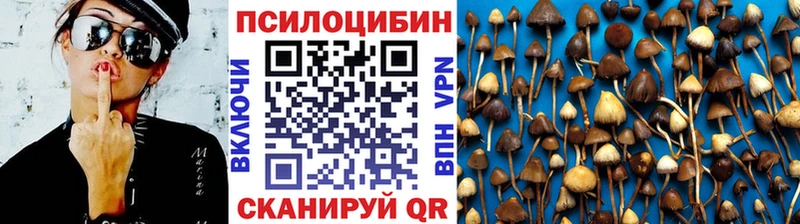 купить закладку  Екатеринбург  Галлюциногенные грибы GOLDEN TEACHER 